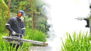 Best Commercial Pest Control  in Medical Lake, WA